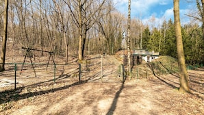 A forested area with a dirt path leading to a gated entrance.