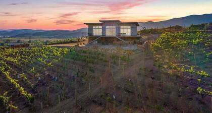 Buena Vista - Valle de Guadalupe