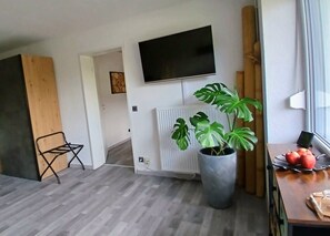 A modern living room with a large TV, a potted plant, and a wooden chair.