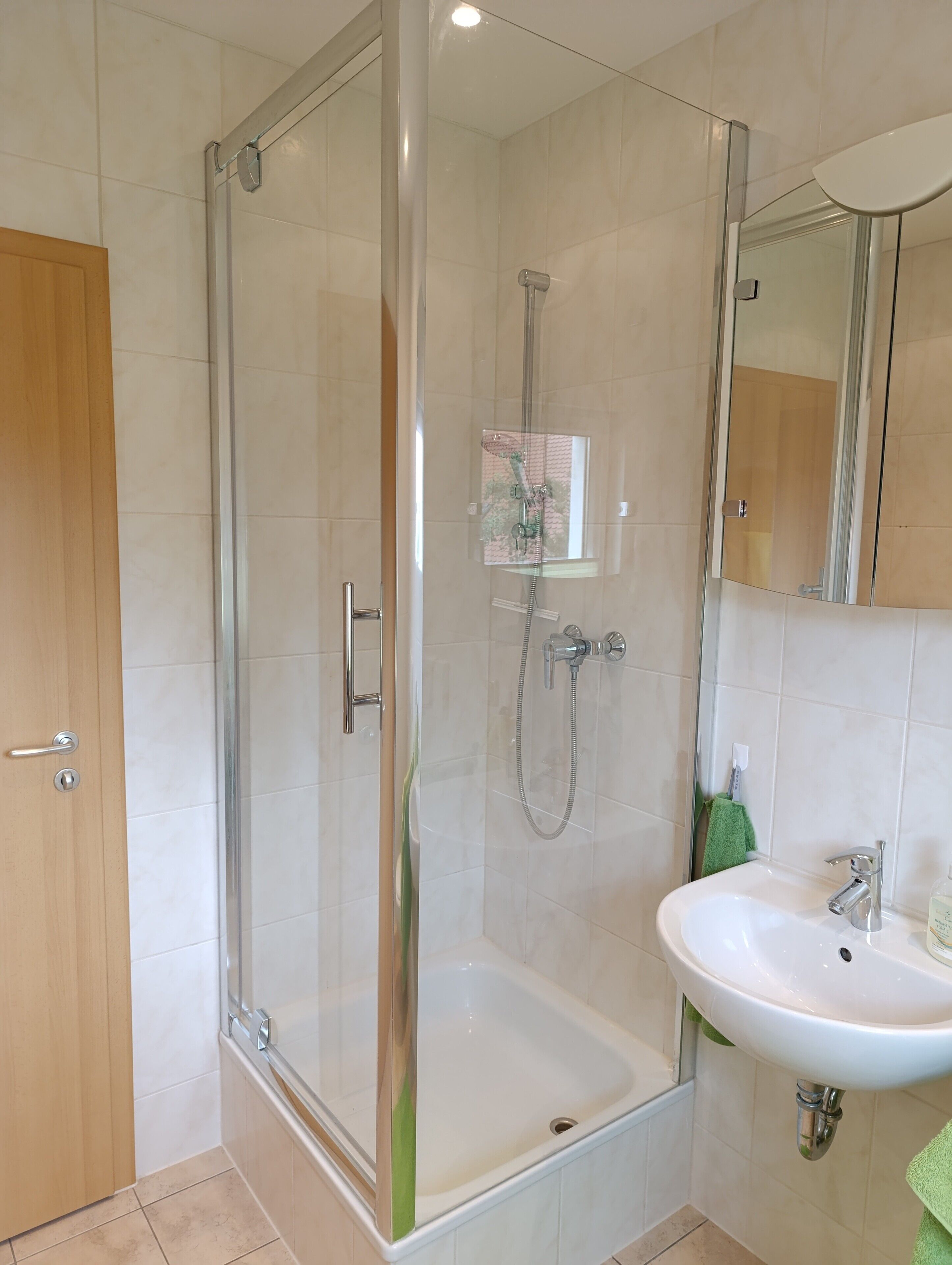 Shower, hair dryer, towels