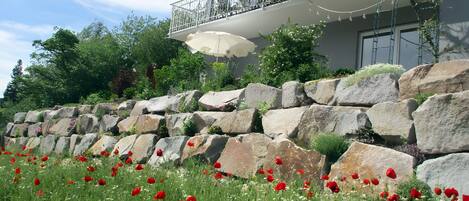 DĂ©tail de lâextĂ©rieur