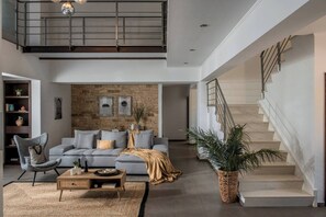 TV, fireplace, books