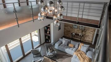 TV, fireplace, books