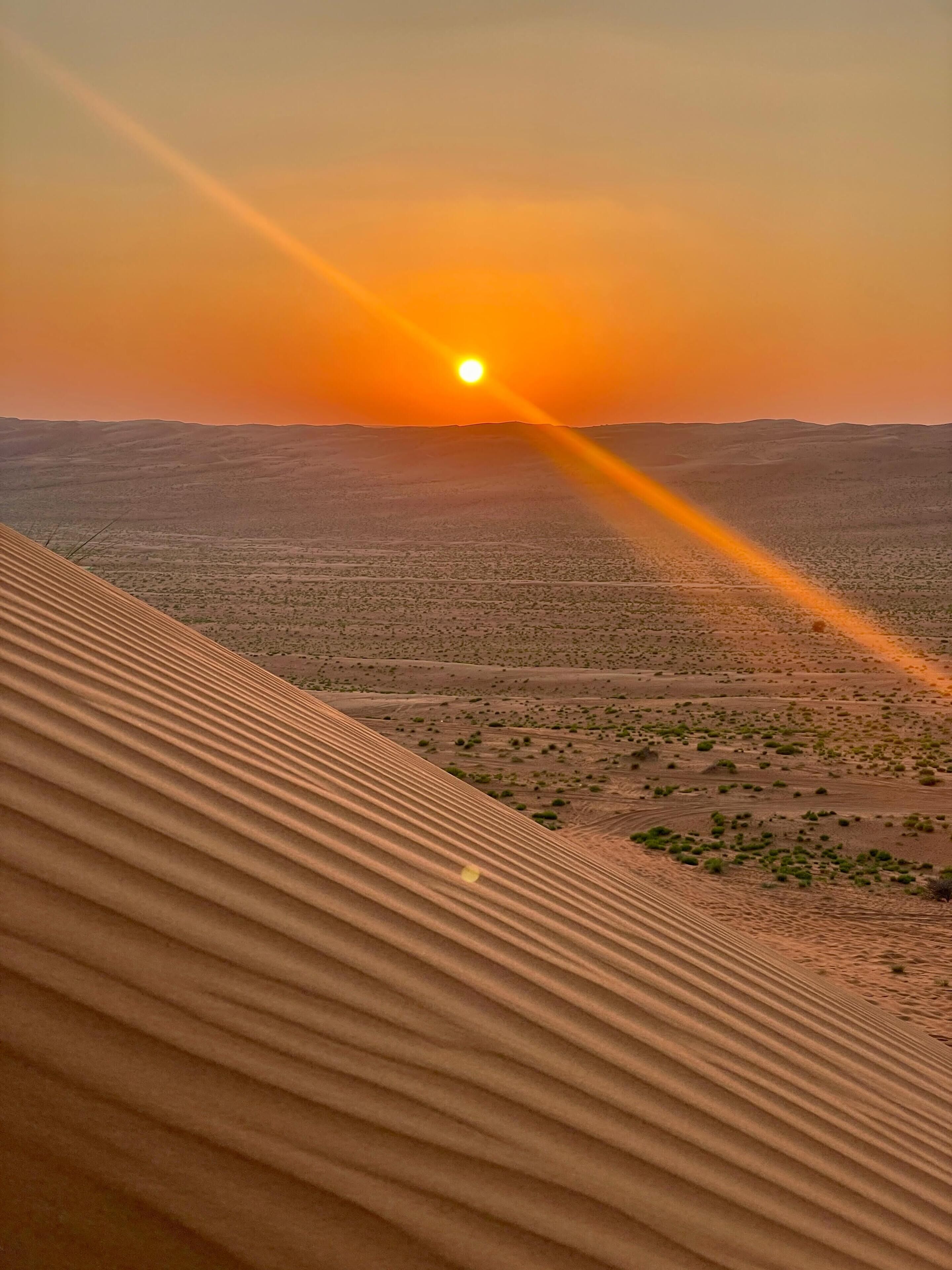 منطقة الاستقبال