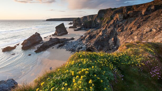 A coastal landscape with rocky cliffs, a sandy beach, and wildflowers.