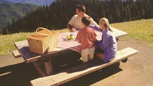 A family of four at a picnic table in a natural setting with a basket and apples. - Trendy Tennyson Flat (Denver)