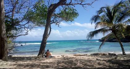 Studio les pieds dans l'eau en centre ville