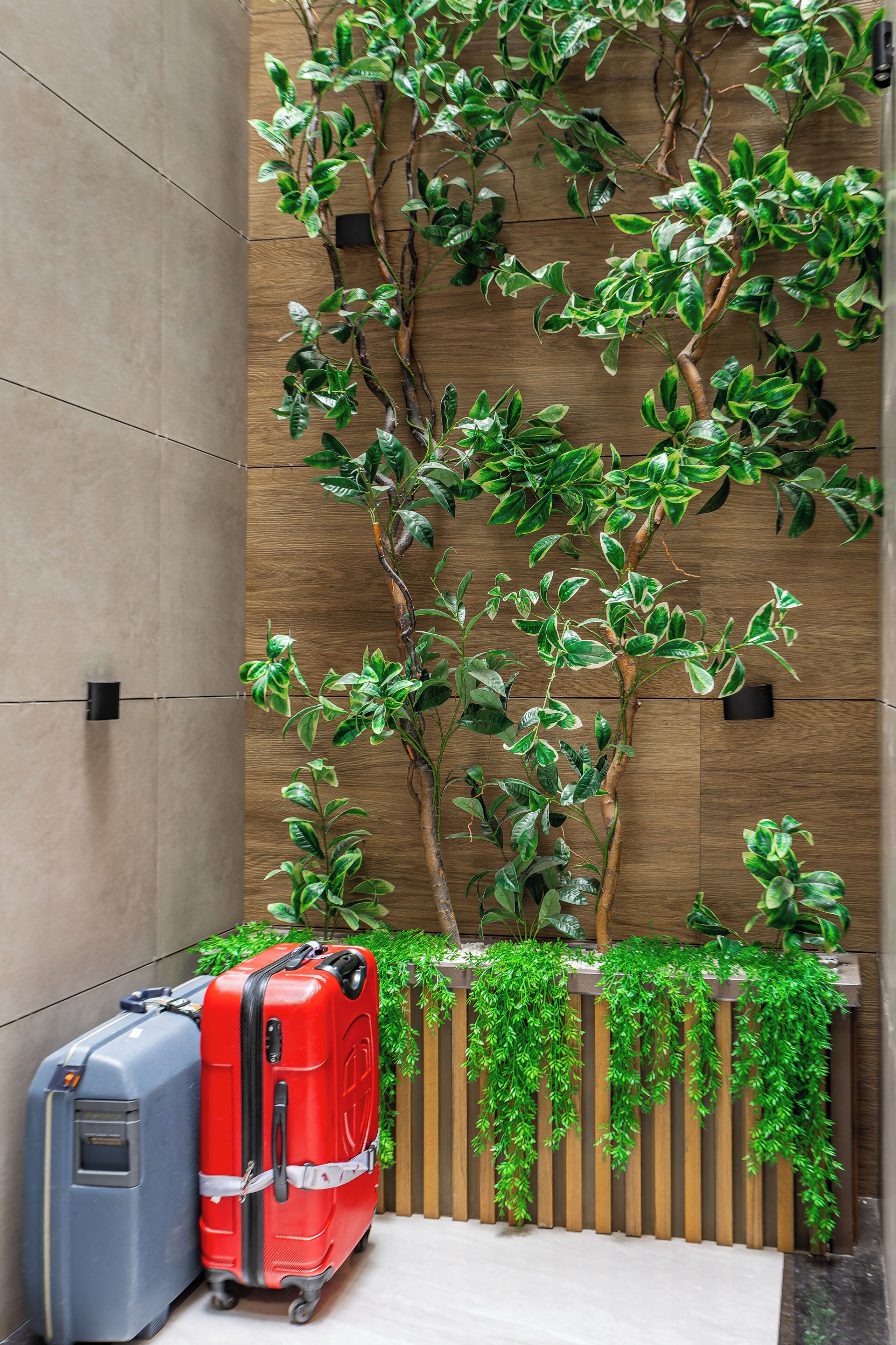 A wall with green foliage and a wooden fence. There are two suitcases, one red and one blue, placed on the floor.