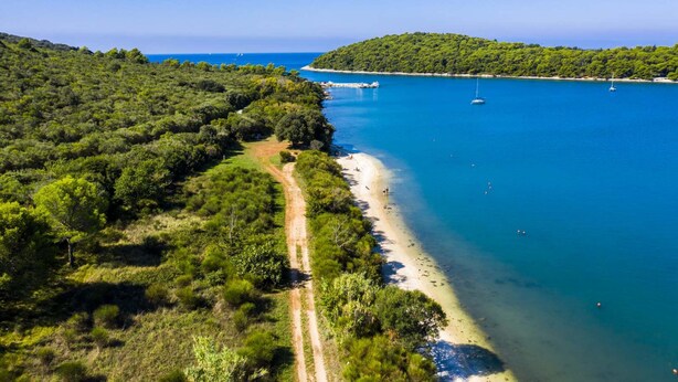 An aerial view of a coastal area with a sandy beach, dense greenery, and clear blue waters. - Cozy apartment with spacious garden (Banjole)