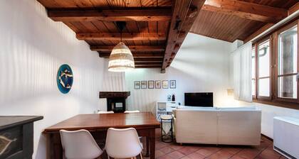 Relaxing house in the village of Morcote (Casa MirĂł)