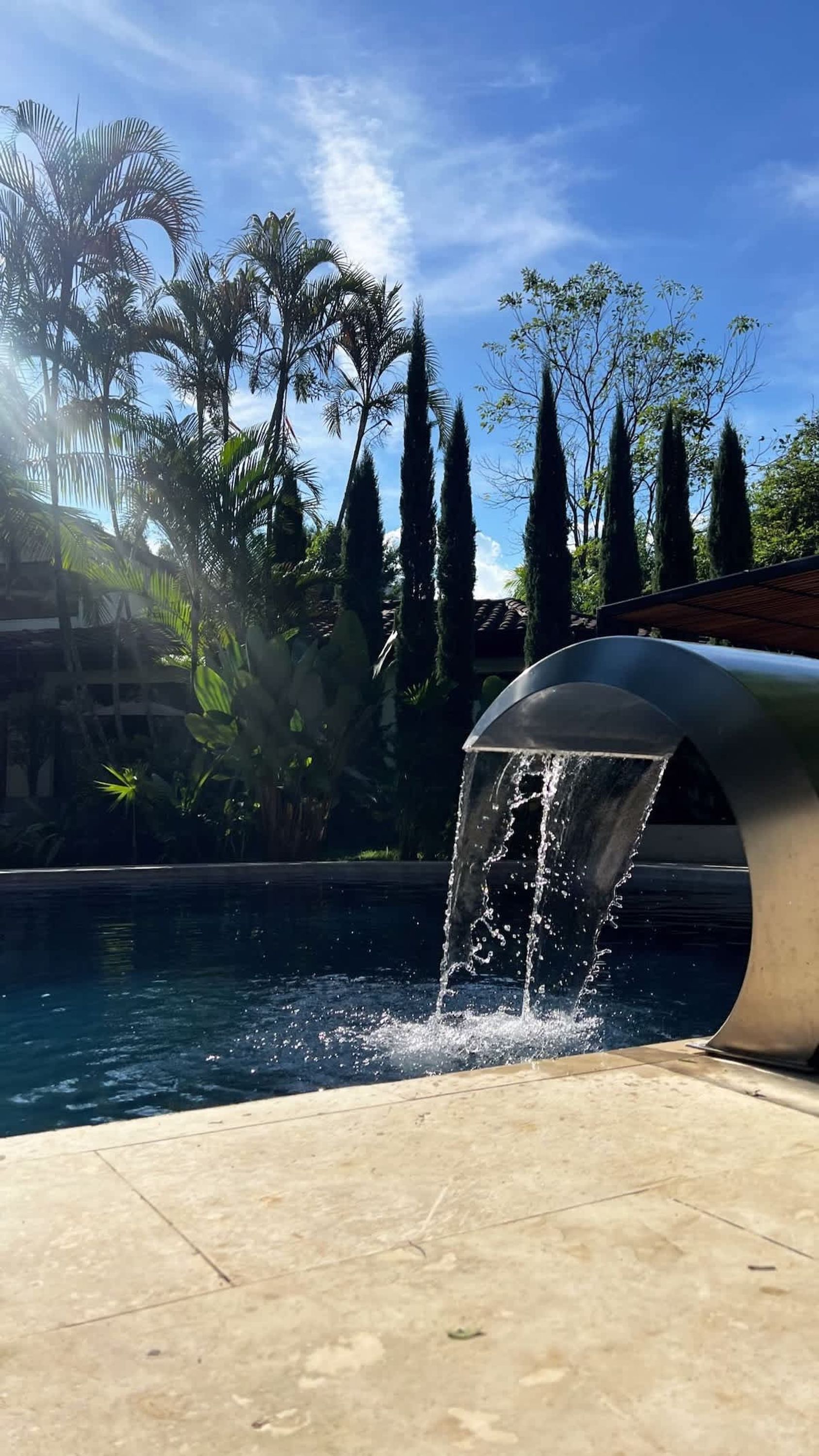 A pool with a water feature, surrounded by palm trees and tall cypress trees.