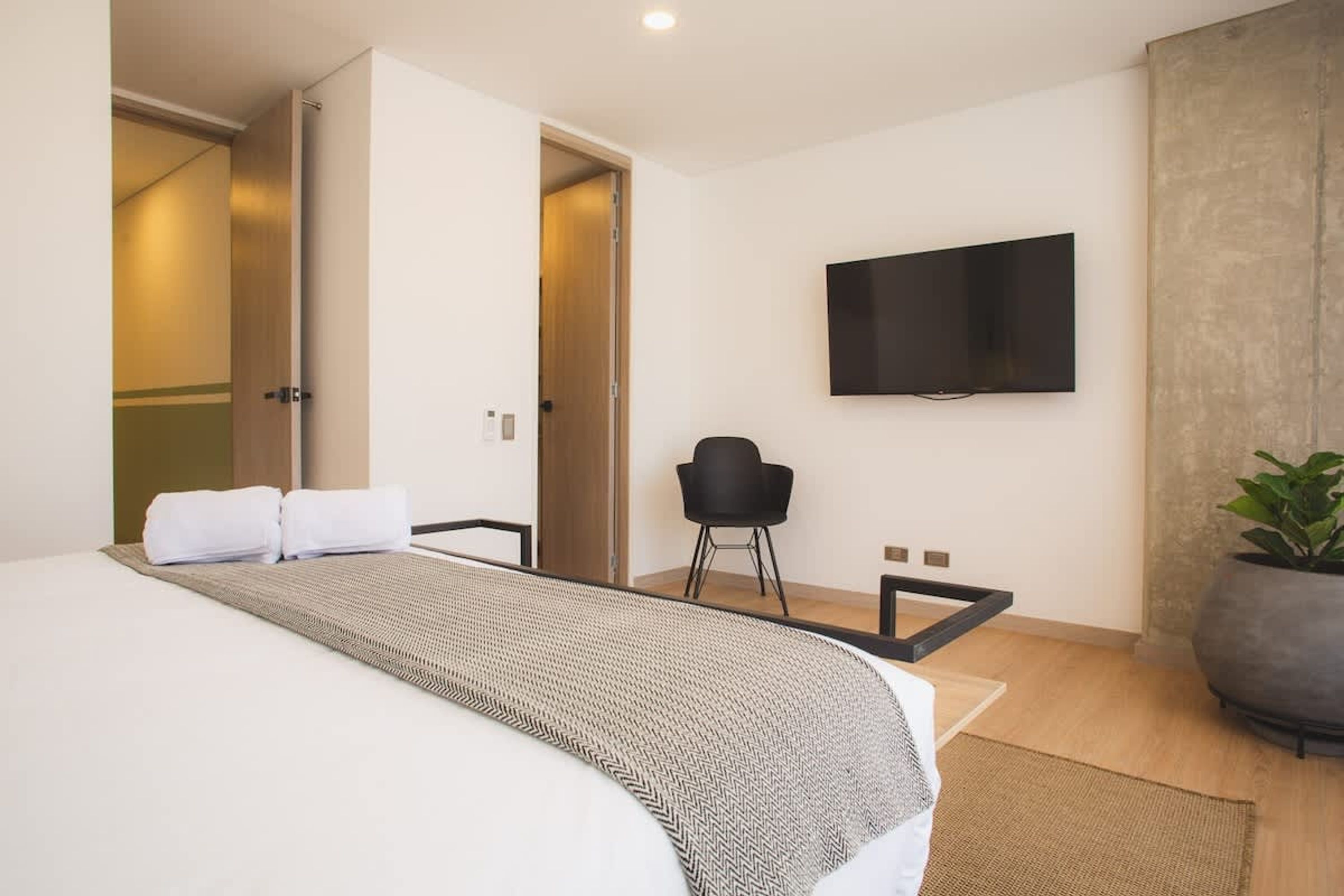 A modern hotel room with a bed, a flat-screen TV, a potted plant, and a chair.