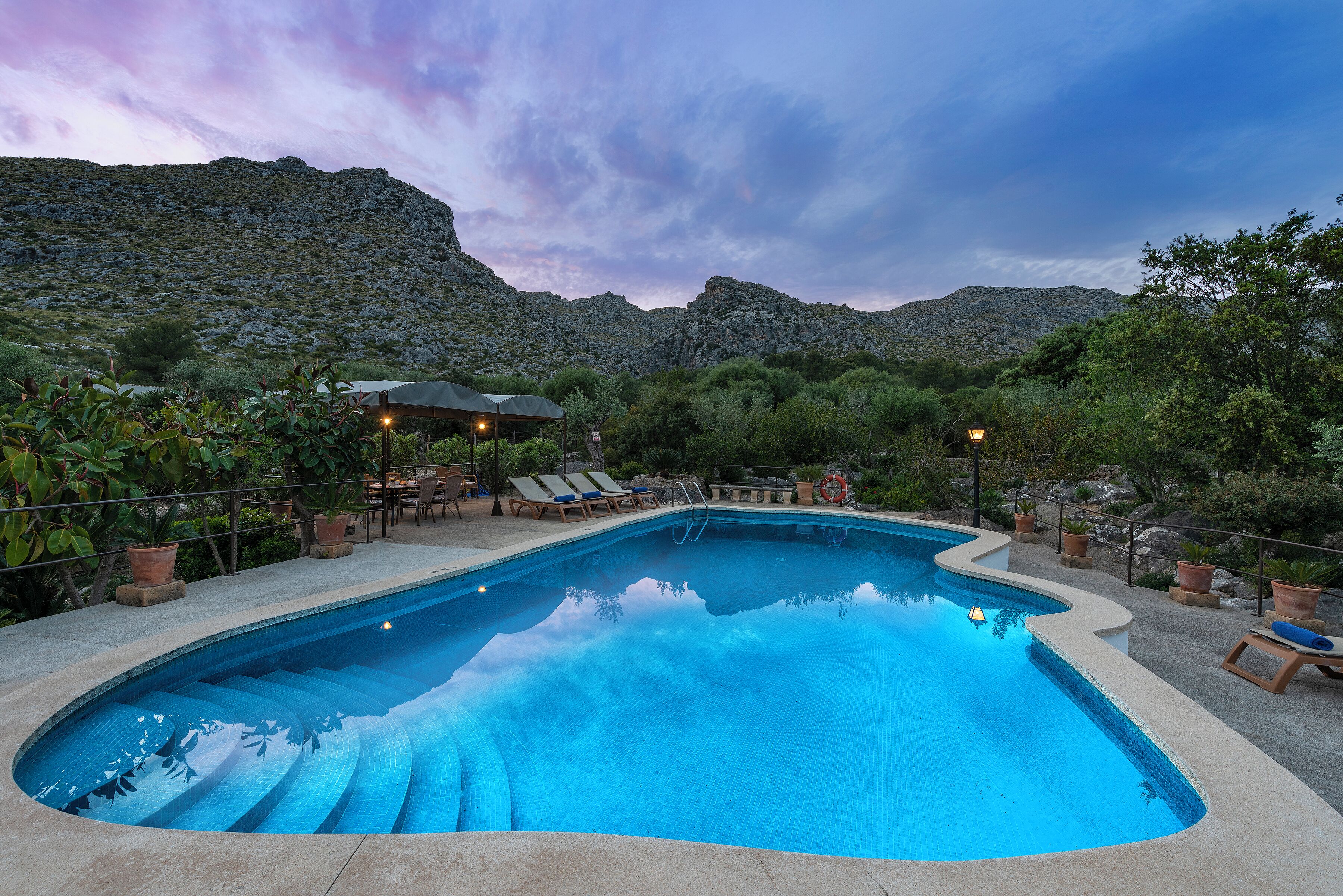 A swimming pool with a wavy edge, surrounded by lounge chairs and potted plants, set against a mountainous backdrop.
