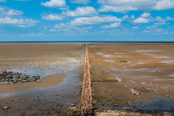 Beach nearby