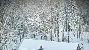 Una casa moderna con varios tragaluces, rodeada por un bosque nevado.