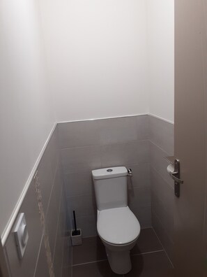 A small, modern bathroom with a white toilet, a toilet brush, and a toilet paper holder. - Apartment "soleil" terrace private parking (Saint-Julien-Chapteuil)