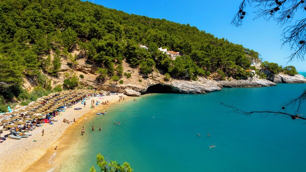A beach with clear turquoise water, a rocky shoreline, and a forested hillside. - Hotiday Apartment Collection-Pugnochiuso (Vieste)