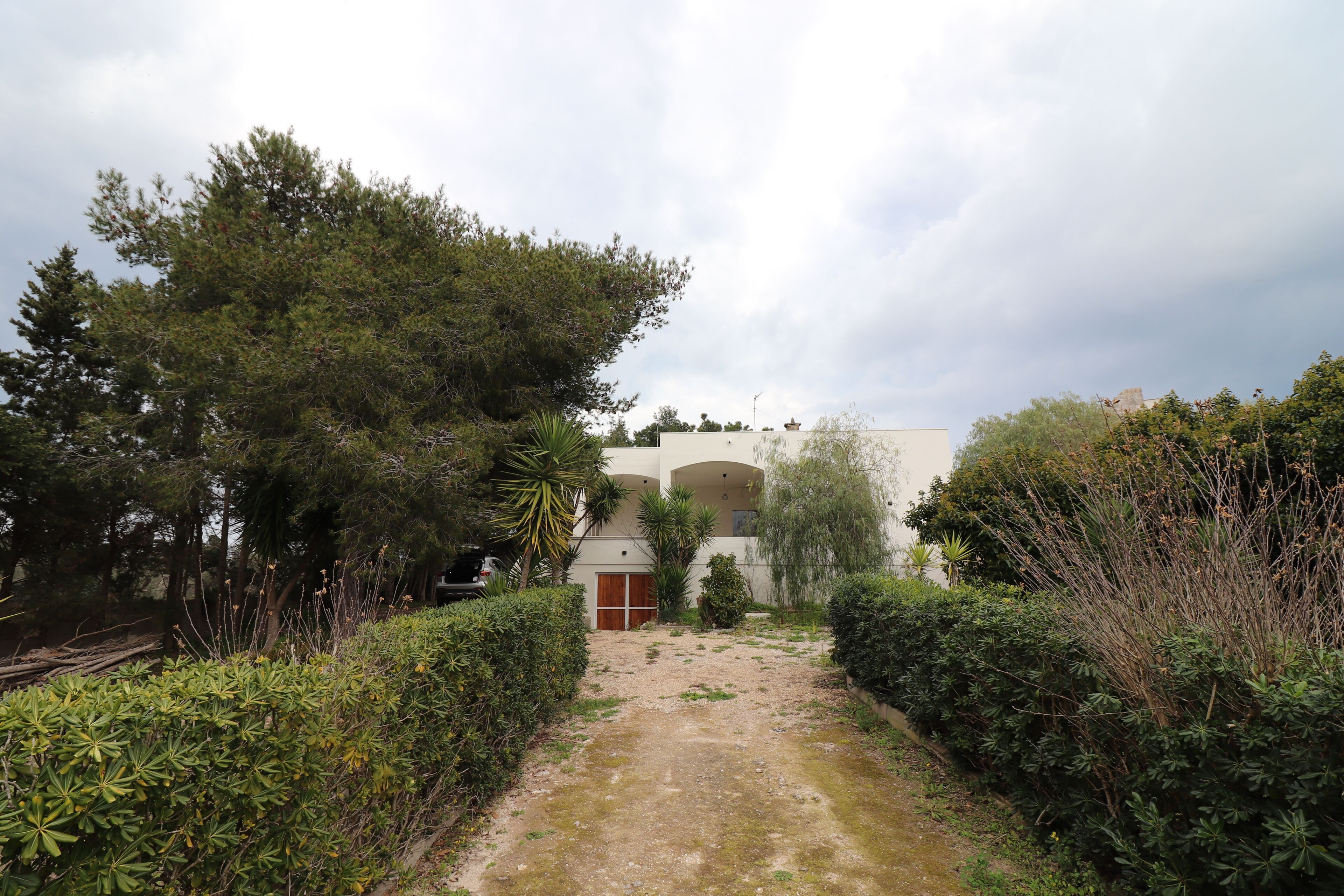 Un sendero que lleva a un edificio con una puerta roja, rodeado de abundante vegetación y árboles.