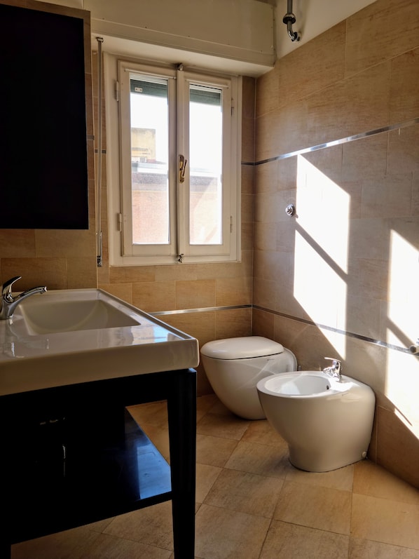 Shower, hair dryer, bidet, towels