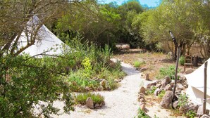 A gravel path leading through a natural landscape with trees and a white tent-like structure. - Pasare Glamping (Perfugas)