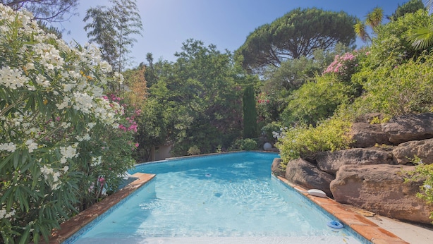 A rectangular swimming pool with clear blue water, surrounded by lush greenery and rocks. - House for 10 people with private pool in Sainte-Maxime. (Sainte-Maxime)
