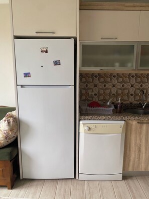 A compact kitchen with a refrigerator, dishwasher, and a granite countertop.