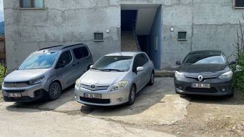 Free self-parking