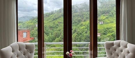 Basic-Apartment, Balkon, Bergblick | Wohnbereich