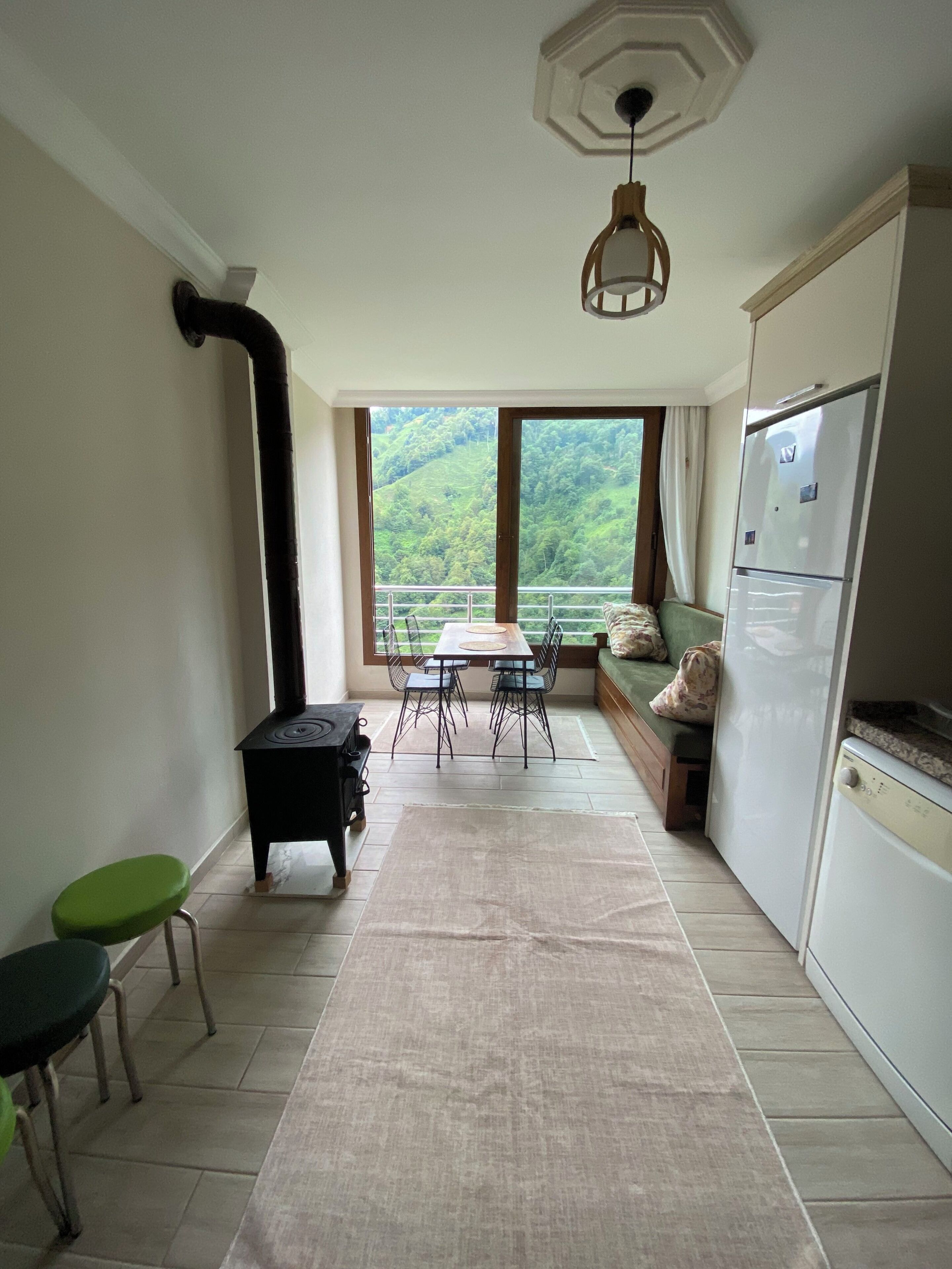 Basic Apartment, Balcony, Mountain View | Private kitchen