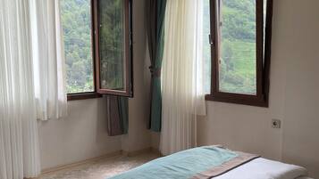 1 bedroom, iron/ironing board, free WiFi