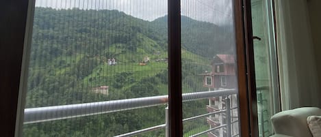 Basic Apartment, Balcony, Mountain View | Living room