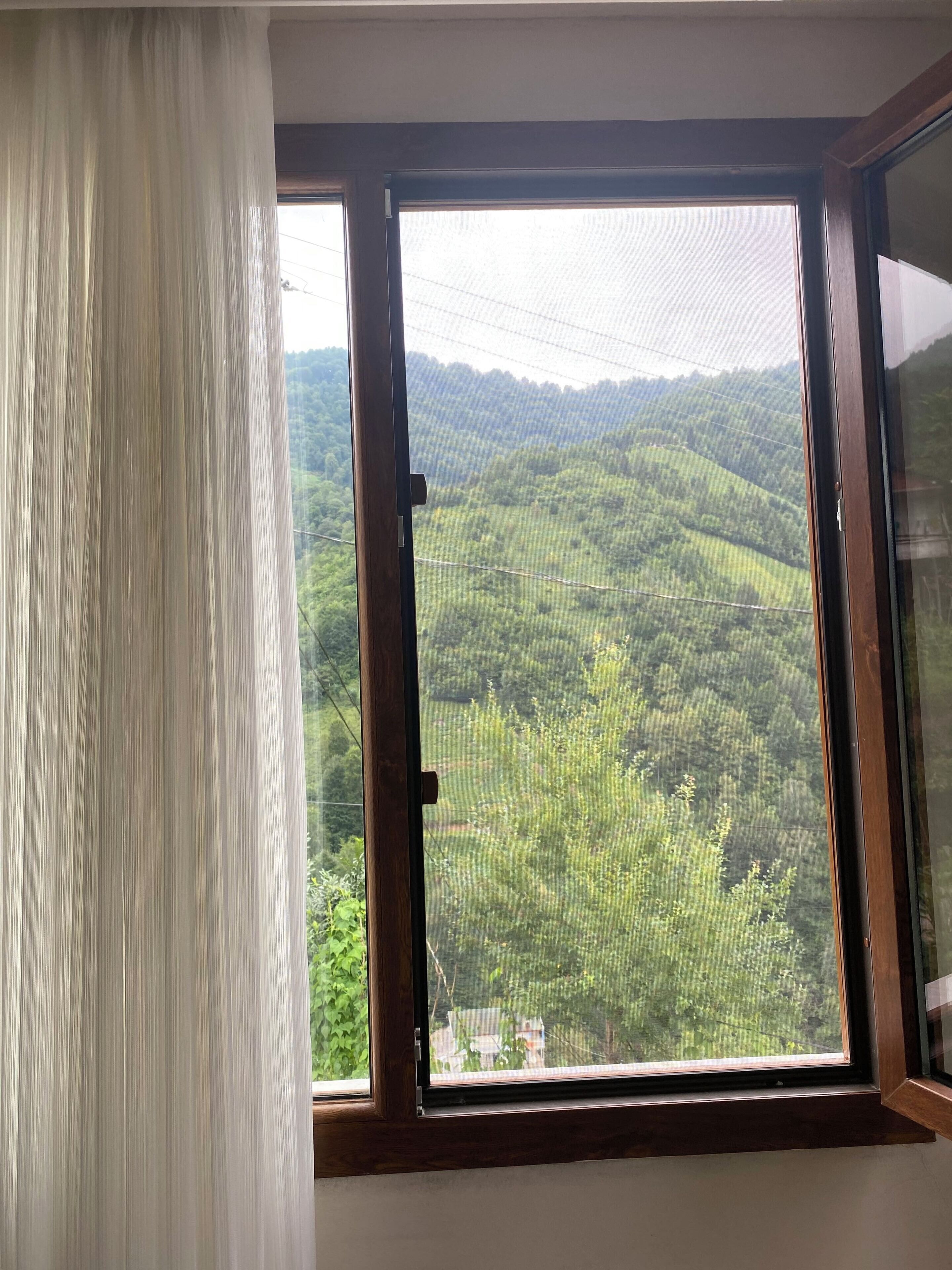 ベーシック アパートメント バルコニー マウンテンビュー | 部屋からの景観