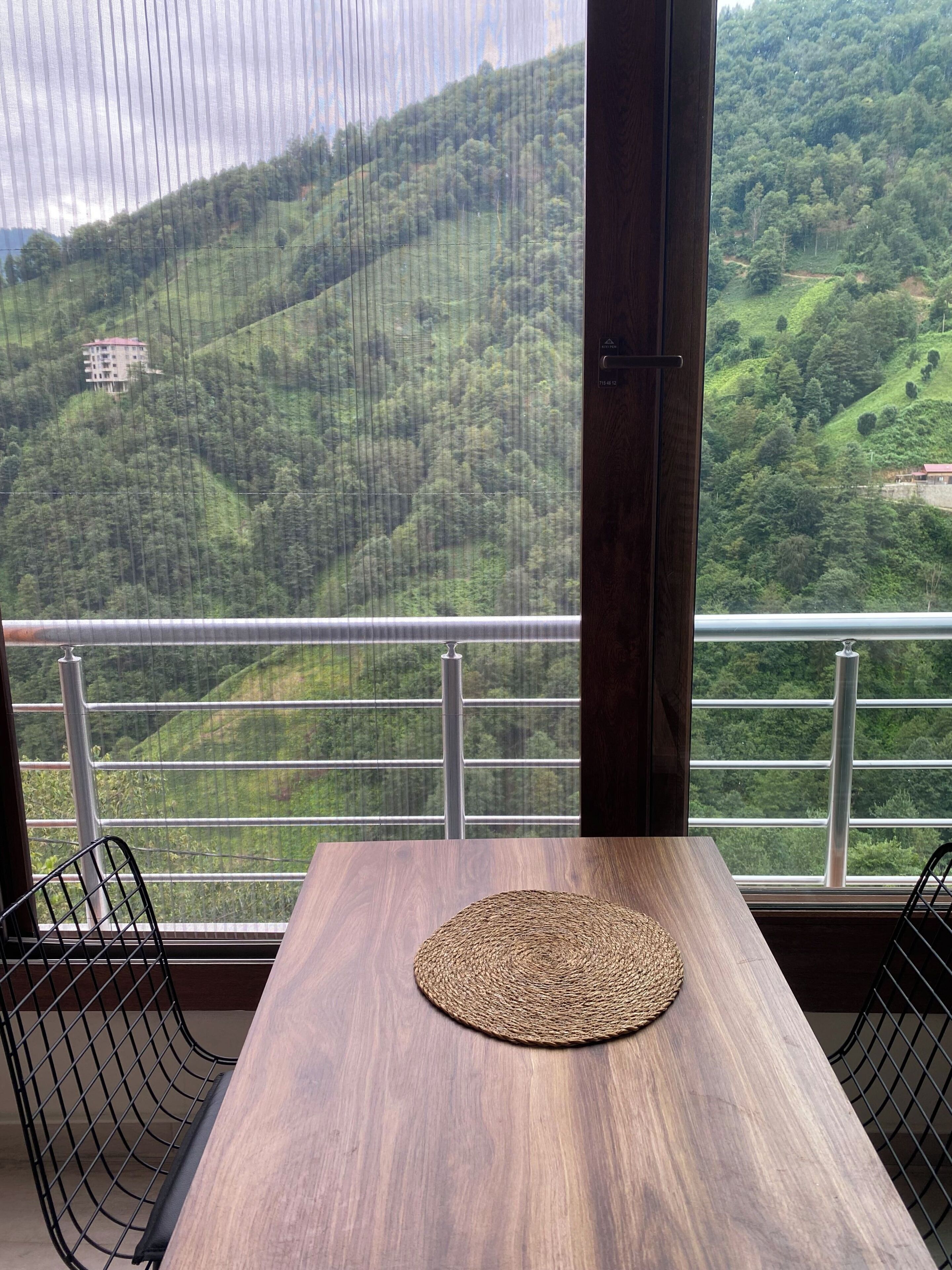 Basic Apartment, Balcony, Mountain View | Private kitchen