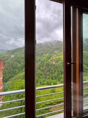 A view from a balcony with a metal railing, overlooking a green hillside with buildings. - Green House 1934 (Çamlıhemşin)