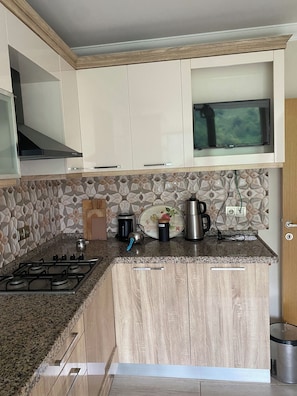 Basic Apartment, Balcony, Mountain View | Private kitchen - Komilo Homes, Çamlıhemşin (Çamlıhemşin)