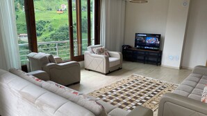 Appartement de base, balcon, vue sur la montagne | Salle de séjour