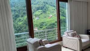 Una habitación con un ventanal grande que ofrece vistas a un paisaje verde con edificios. Hay dos sofás y una butaca.