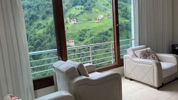 Basic Apartment, Balcony, Mountain View | Living room