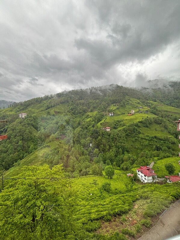 Un paisaje montañoso con campos en terrazas y edificios dispersos.
