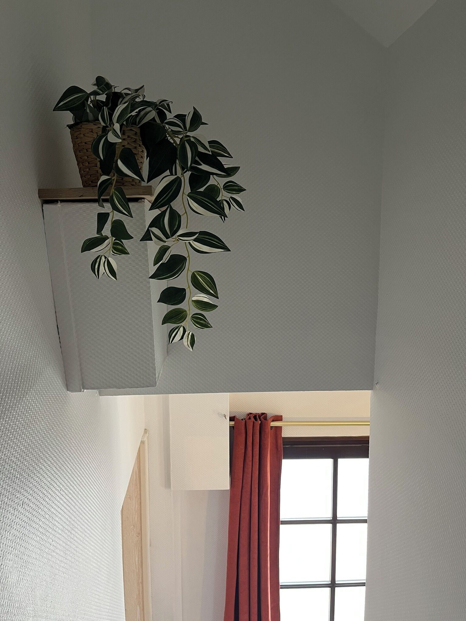A room with a ceiling-mounted plant, a window with a red curtain, and a textured wall.