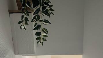A room with a ceiling-mounted plant, a window with a red curtain, and a textured wall.