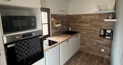 House with small garden in the heart of Sologne. Near Beauval and castles.