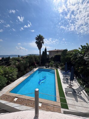 A swimming pool with a dolphin design, surrounded by greenery and a patio area with chairs and umbrellas.