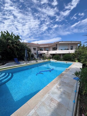 A swimming pool with a dolphin design, surrounded by lounge chairs and a building with a tiled roof.