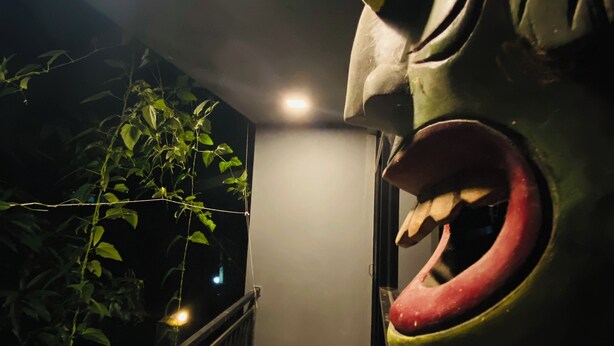 A narrow outdoor corridor with a metal railing, a potted plant, and a decorative metal sculpture. - 2-bedroom house in nice Pilimathalwa with WiFi, AC (Pilimathalwa)