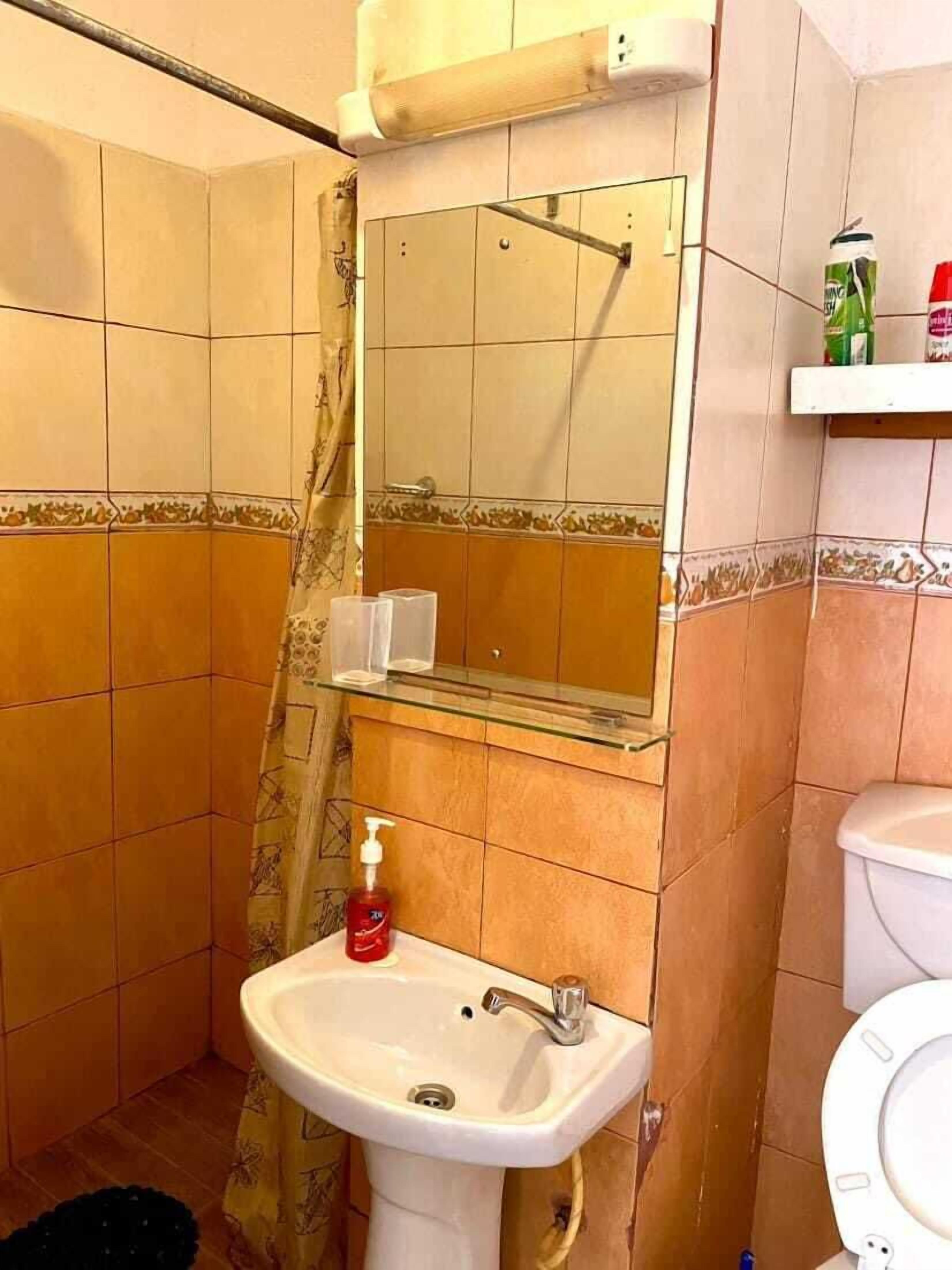 A bathroom with a sink, mirror, and toilet.