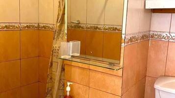 A bathroom with a sink, mirror, and toilet.