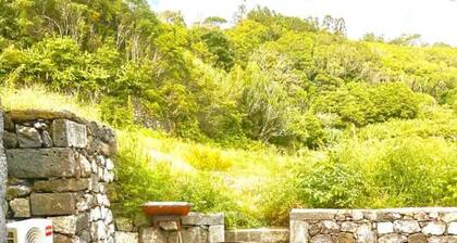 Liiiving in Azores - Casa de Foros