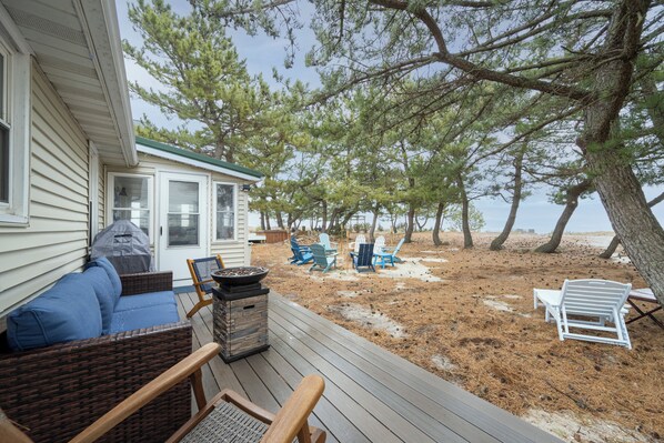 テラス / パティオ