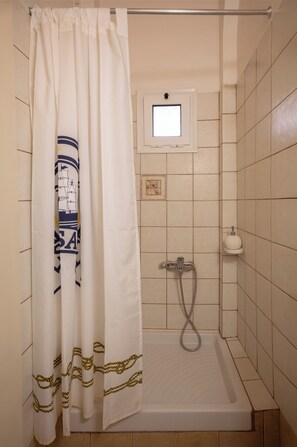 Hair dryer, towels, shampoo, toilet paper